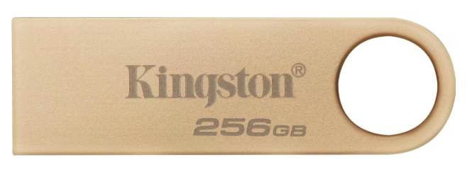 [DTSE9G3/256GB] Kingston USB-Stick DataTraveler SE9 USB 3.2 256 GB